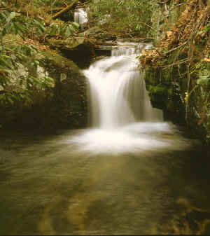 Pool at Raven's Cliff Falls.jpg (73997 bytes)