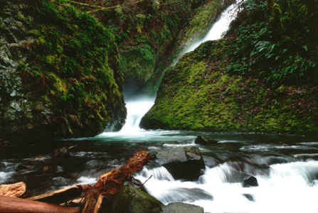 Lower Bridal Veil Falls, Oregon.jpg (88085 bytes)