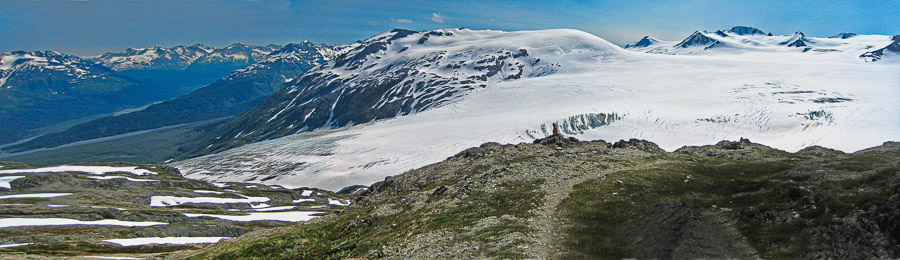 Harding Ice Field