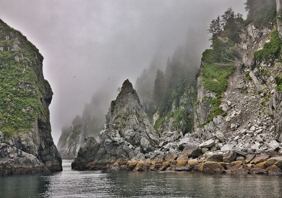 Rock, Water, Fog & Flight