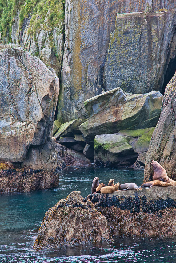 On the Rocks _MG_3656 8 x 12 print