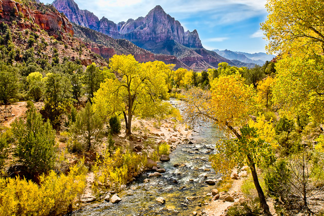 The Watchman