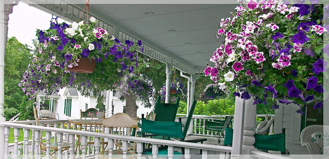 037 Washington_Inn_Flowers. 3jpg