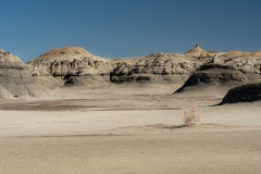 Bisti Desert