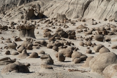 Bisti Rock Garden