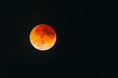 Blood Moon