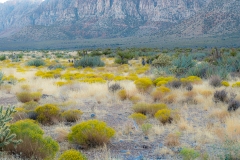 Calico Basin