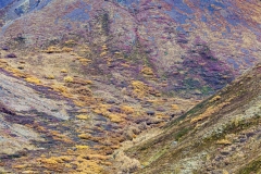 Deanli NP in Fall