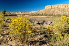 Paria River Wash