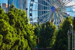 Park Wheel