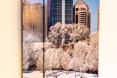 Piedmont Park Snow Day