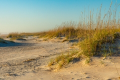 Sea Oats