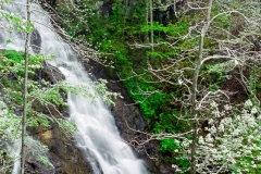 Amicalola Snow Falls