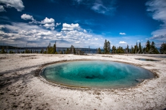 Blue Funnel Spring