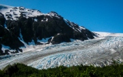 Exit Glacier 8902