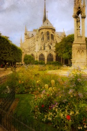 Notre Dame-8