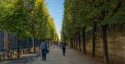 Tuileries Garden-3