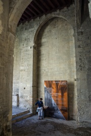 Avignon, Palais des Papes-8