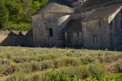 Abbaye Notre-Dame de Sénanque-15