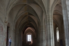 Avignon, Palais des Papes-13