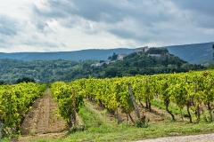 Ménerbes, Domaine de la Citadelle