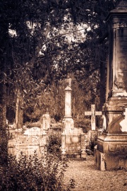 Bonaventure Cemetery _RKC0776