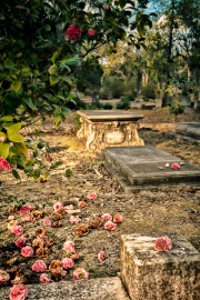 Bonaventure Cemetery _RKC0808-Edit