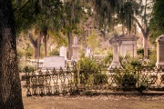 Bonaventure Cemetery _RKC0825-Edit