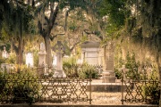 Bonaventure Cemetery _RKC0826