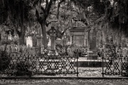 Bonaventure Cemetery _RKC0827-Edit