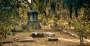 Bonaventure Cemetery _RKC0830-Edit