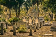 Bonaventure Cemetery _RKC0834-Edit