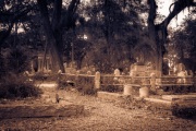 Bonaventure Cemetery _RKC0850