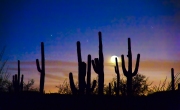 Nightfall in the Desert
