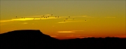 Sunrise Flight in Desert